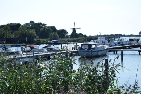 jachthaven met molen op achtergrond