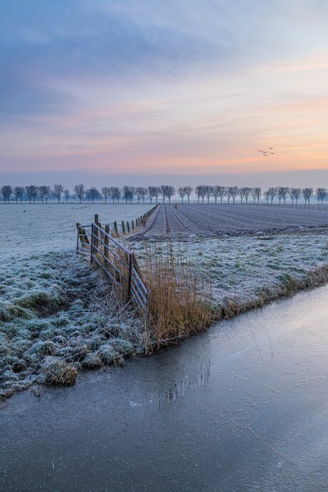 Winter maandag