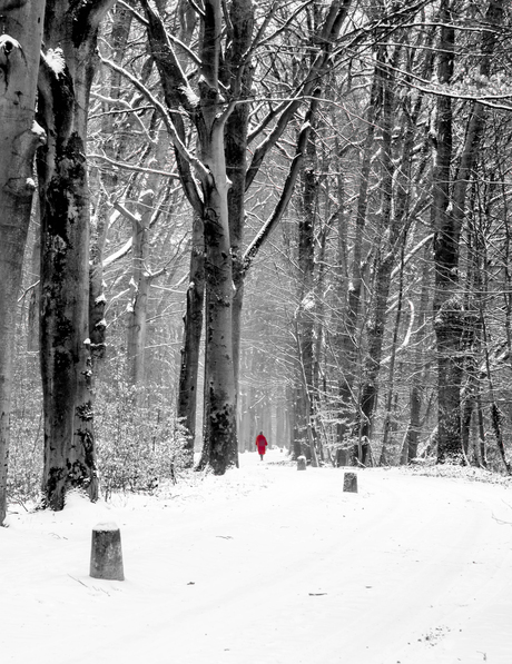 lady in red