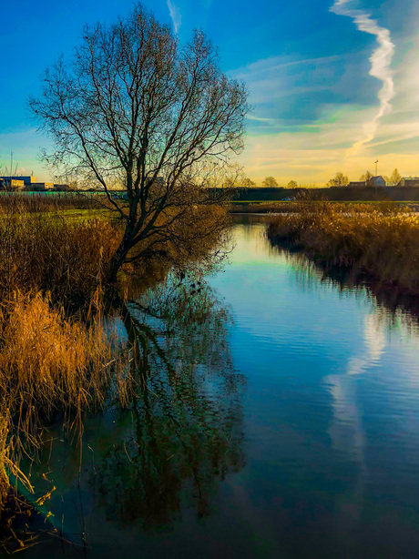 Zonsopgang Boseilanden Hoofddorp