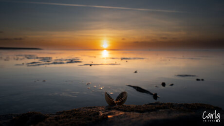 Zonsondergang Moddergat