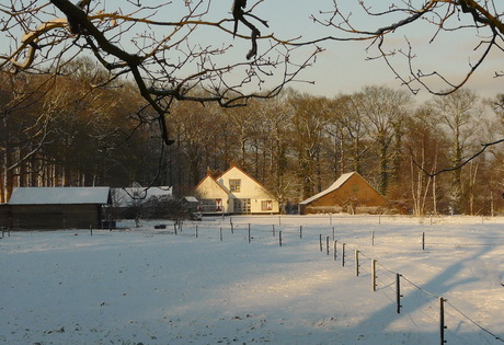 Uit het archief 2010.