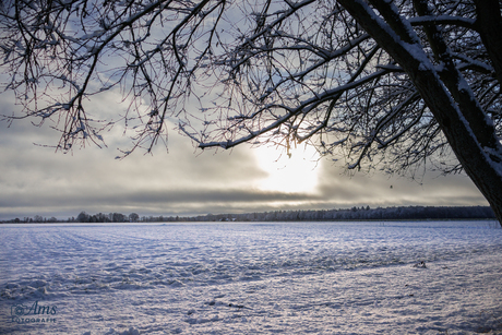 Winter in Drenthe 