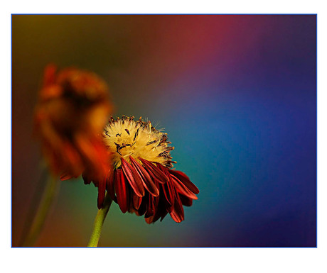 de laatste loodjes................................