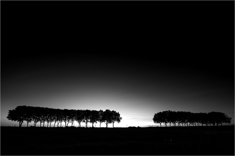 Marrum [164]