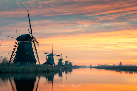 Kinderdijk