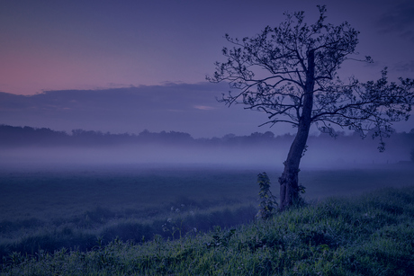 A foggy sunset...