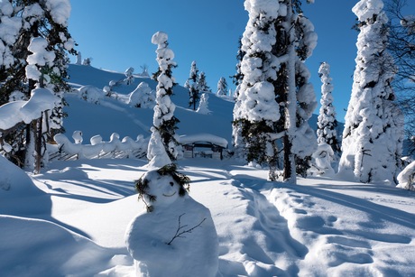 Lapland in de winter