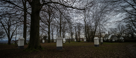 de Kruisweg op de Sjaasberg