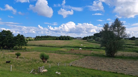 Hollandse wolkenluchten 1