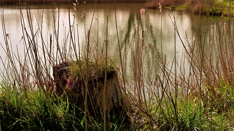 Natuurlijke zitplaats