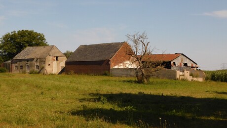 Boerderij in Brabant