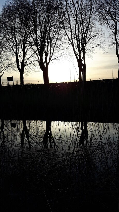 Reflecties in de avond