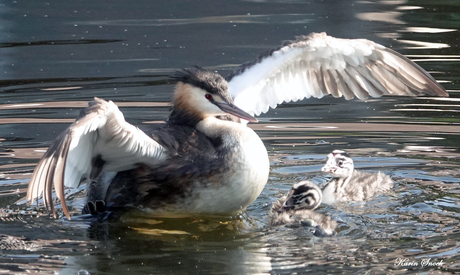 "En hij was zoooo groot..."