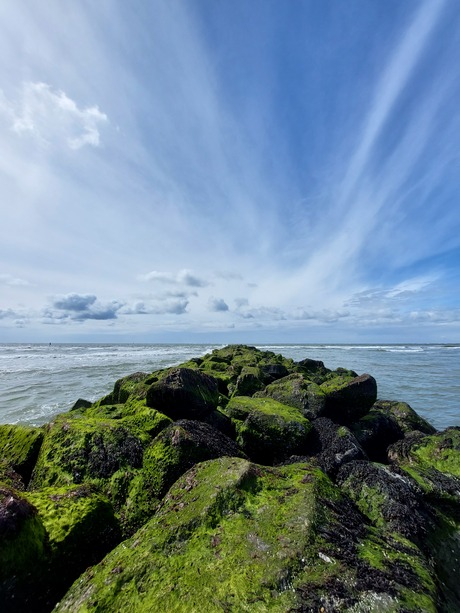 Avontuur aan de horizon