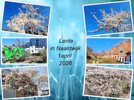 Collage   Westland  LENTE  in Naaldwijk  Div  lokatie s op 1 april 2026  