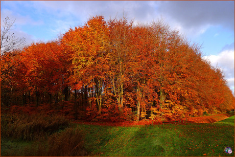 Herfstkleuren …