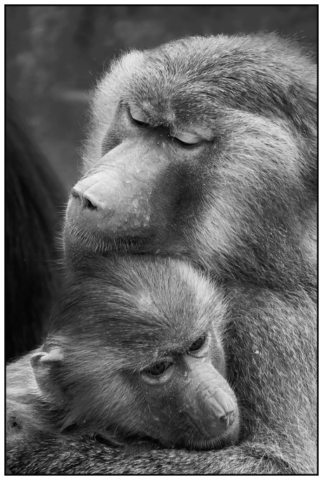 All you need is Love