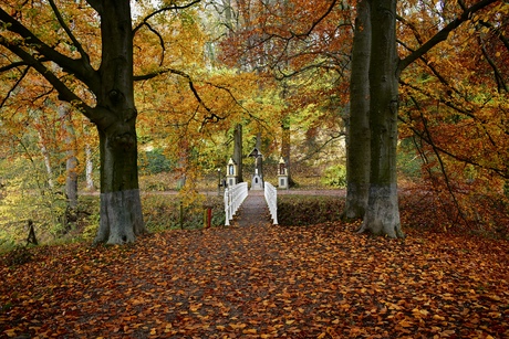 De weg naar.. herfst! 