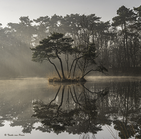 Reflectie