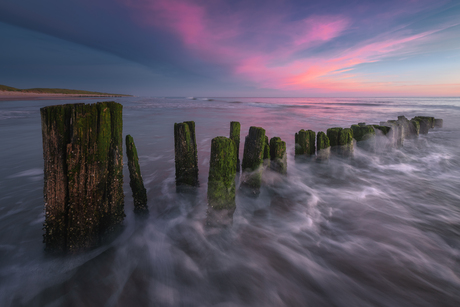 Paaltjes in water met roze lucht