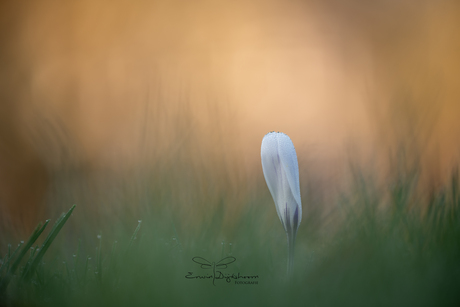 Sunshine on my shoulders makes me happy