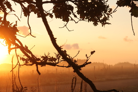 Opkomende zon door de mist