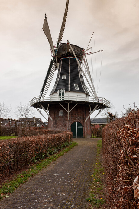 molen