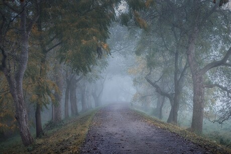 Mist en Herfst