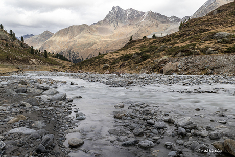 Bergbeek in de Alpen