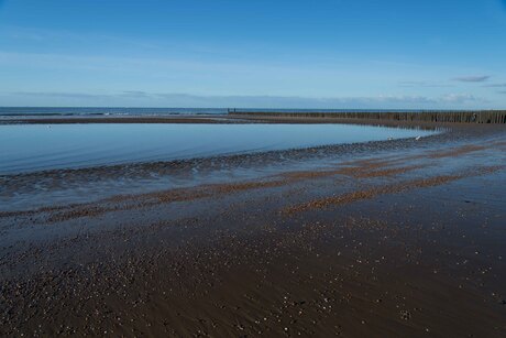 Strand Westkapelle