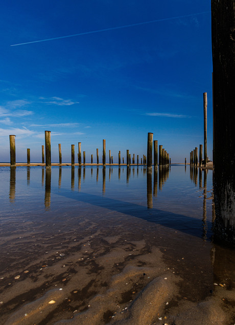 Palendorp Petten
