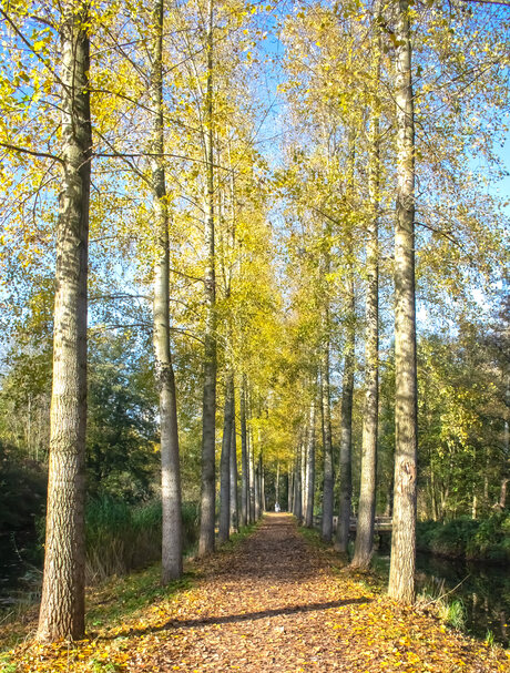 Herfst