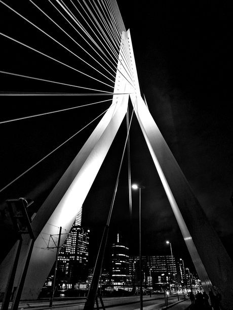 De Zwaan by Night