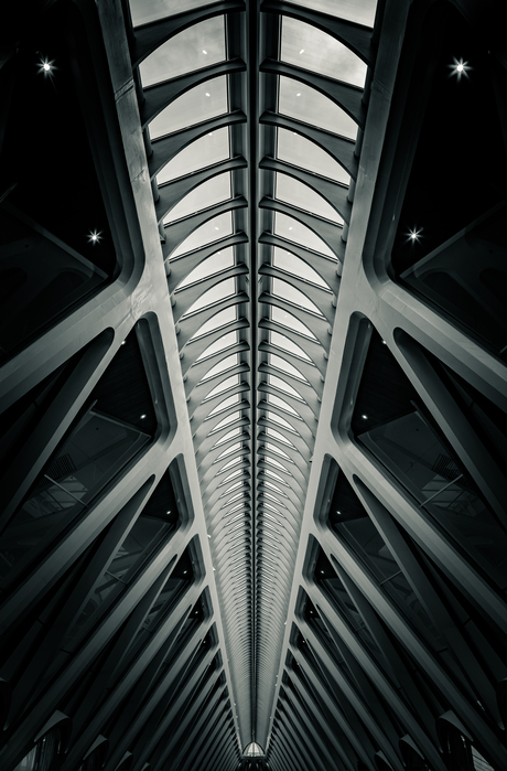Endless roof (ZW)