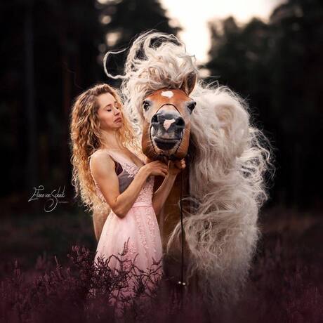 Romantische paardenfotografie