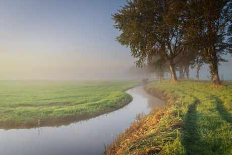 Evenwijdig 