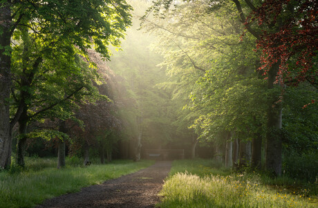 Natuurschoon Terheijl