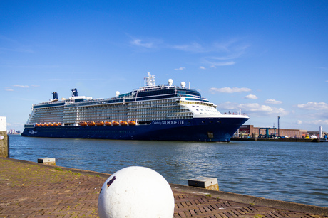 Celebrity Silhouette