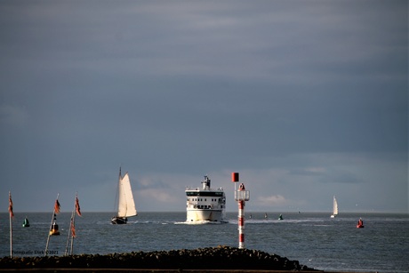 Terschelling veerboot de Friesland