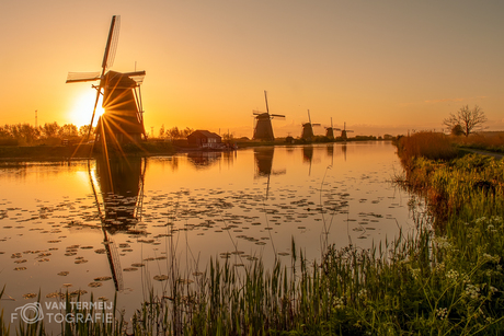 Kinderdijk 