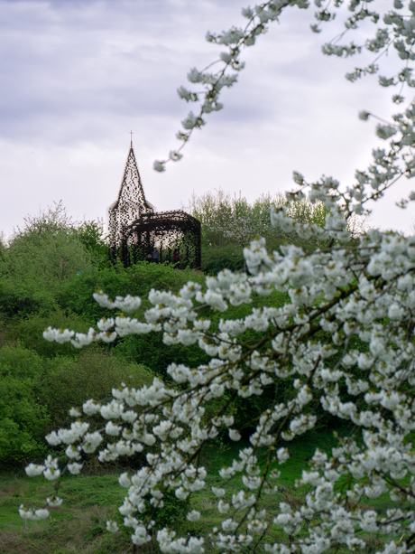 Reading between the lines (het doorkijkkerkje in Borgloon)