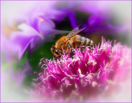 soms meedoen............................