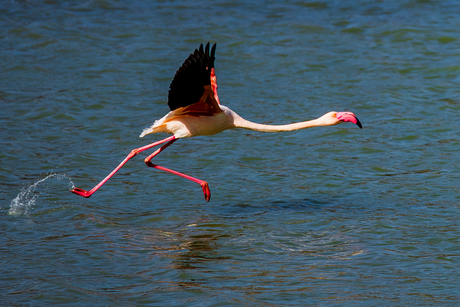 ready for take off 