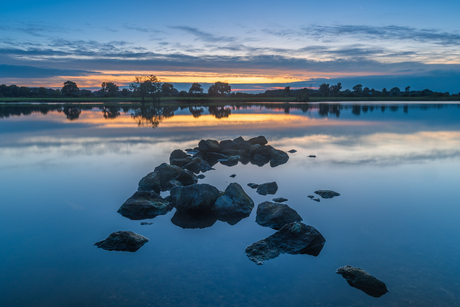 Blauwe uurtje aan de Maas bij Afferden