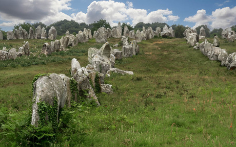 Alignements de Kermario (Menhirs)
