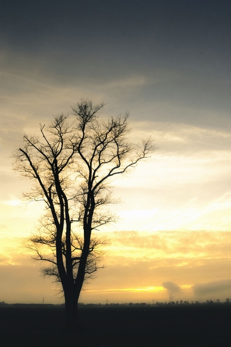 de boom