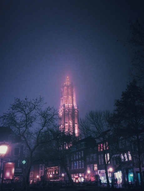 De Dom gehuld in mist