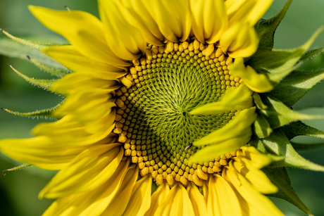 Spiraal van zonlicht