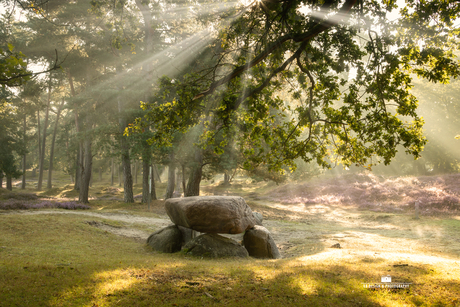 Hunebed D10 in zonnestralen met bloeiende heide 
